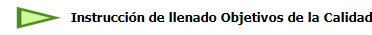   Instrucci�n de llenado Objetivos de la Calidad