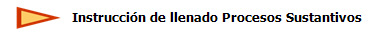  Instrucci�n de llenado Procesos Sustantivos